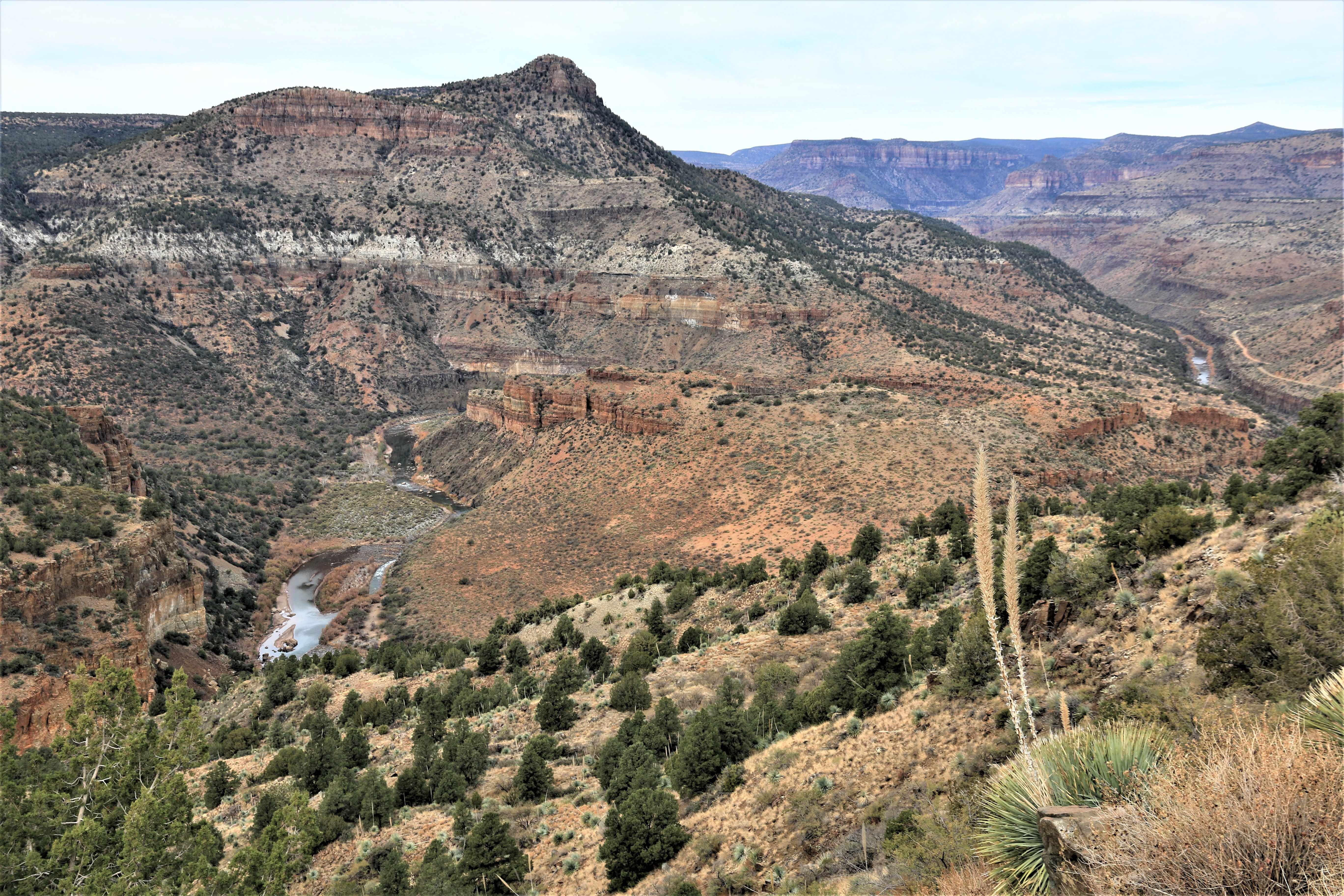 Salt River Canyon
